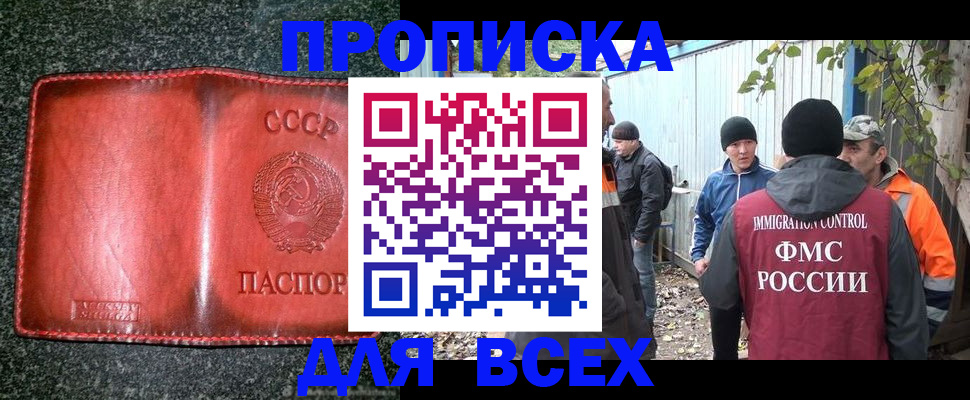 временная регистрация поиск в Купино